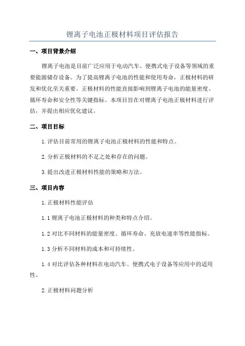 锂离子电池正极材料项目评估报告