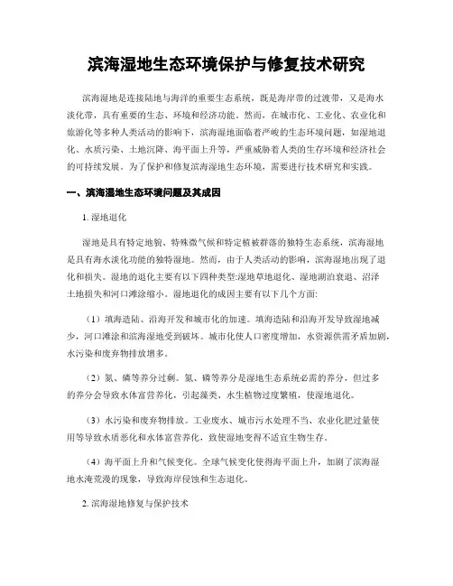 滨海湿地生态环境保护与修复技术研究