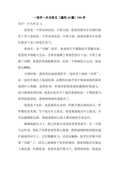 一双手一片天作文(通用20篇)700字