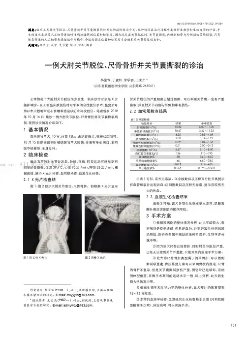 一例犬肘关节脱位、尺骨骨折并关节囊撕裂的诊治
