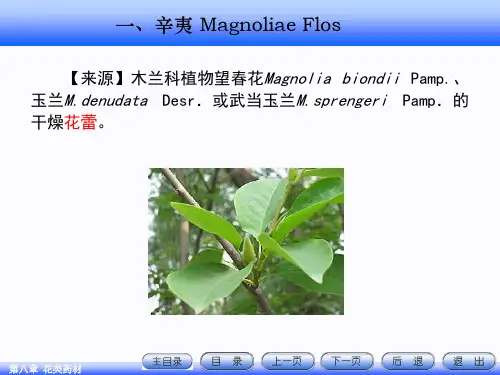 8.花类药材1