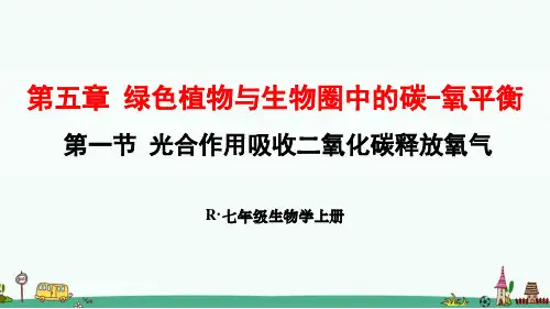 人教版七年级生物上册第五章《 绿色植物与生物圈中的碳-氧平衡》课件