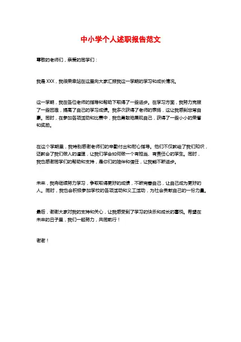 中小学个人述职报告范文