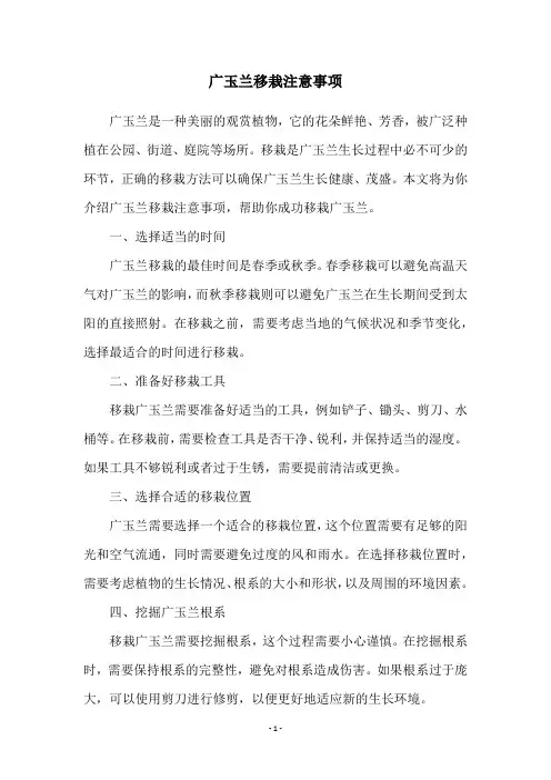 广玉兰移栽注意事项