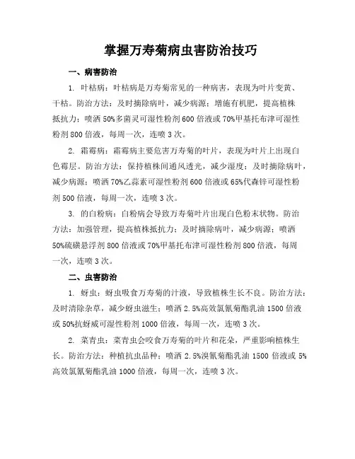 掌握万寿菊病虫害防治技巧