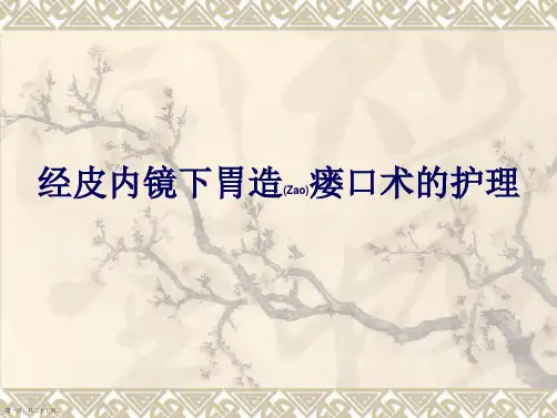 经皮内镜下胃造瘘口术的护理ppt完整课件