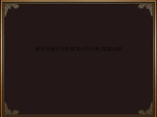 脑血管解剖及脑梗塞定位诊断-迷路动脉