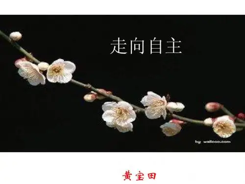 八年级政治上册_第六课《从众与自主》走向自主_课件_教科版