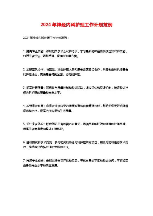 2024年神经内科护理工作计划范例