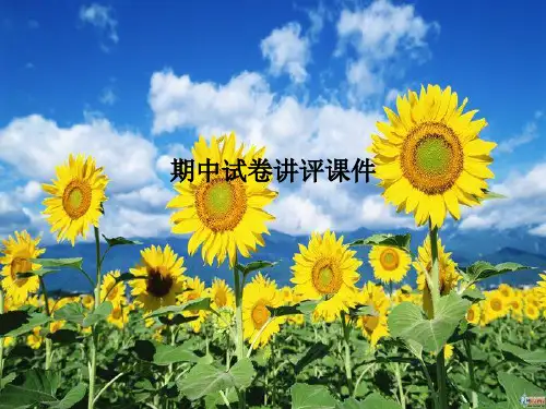 期中试卷讲评课件PPT课件