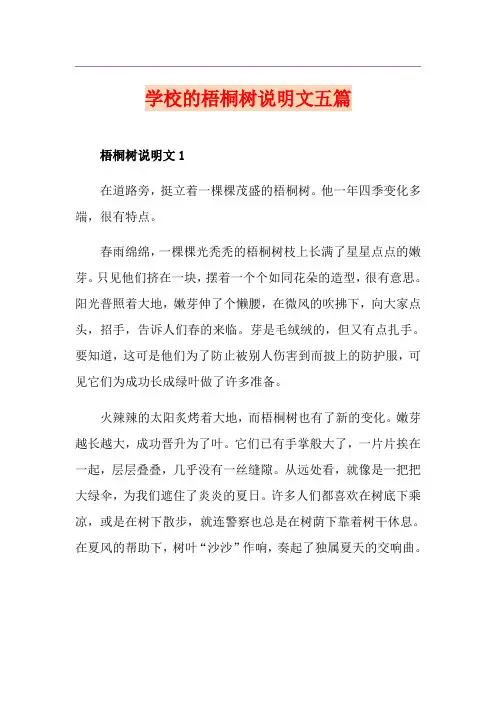 学校的梧桐树说明文五篇
