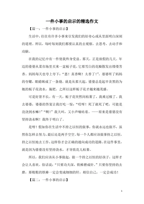 一件小事的启示的精选作文