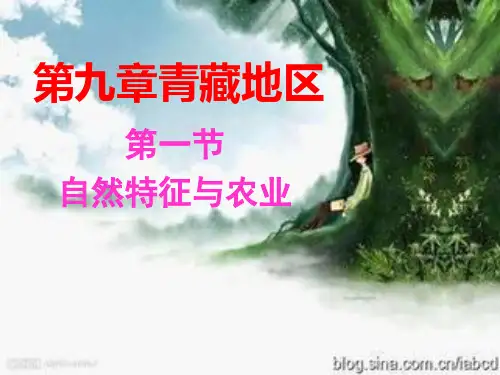 八年级下册地理第九章第一节幻灯片
