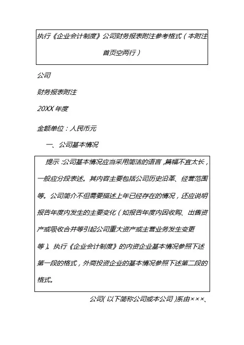 执行《企业会计制度》公司财务报表附注(表格版)模板[推荐]