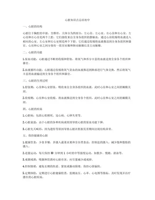 心脏知识点总结初中
