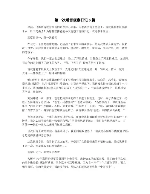 第一次看雪观察日记6篇