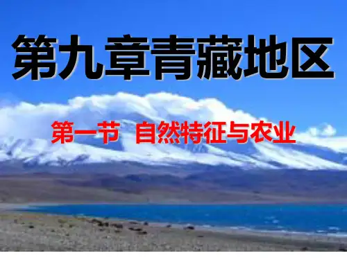 青藏高原PPT课件