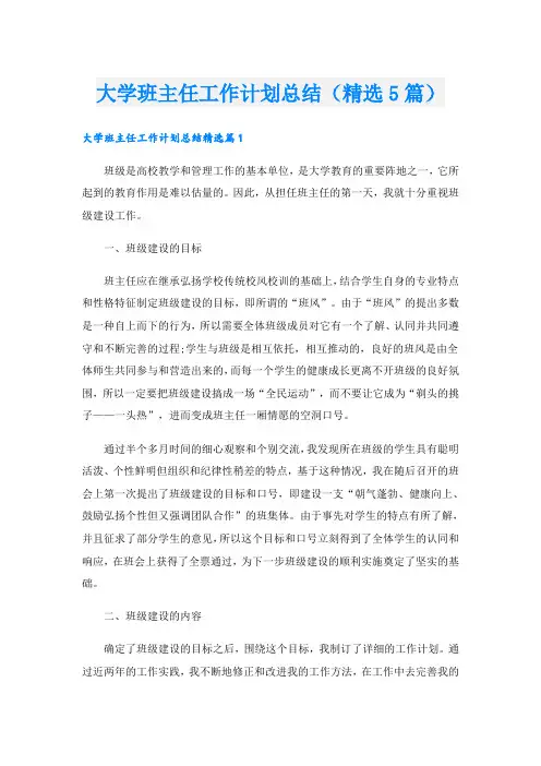 大学班主任工作计划总结(精选5篇)