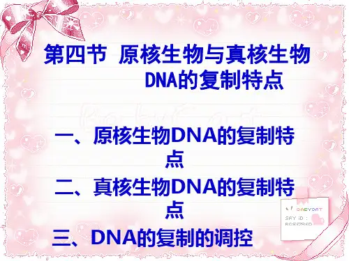 原核生物与真核生物DNA复制的特点