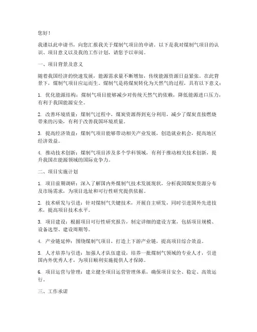 煤制气申请书