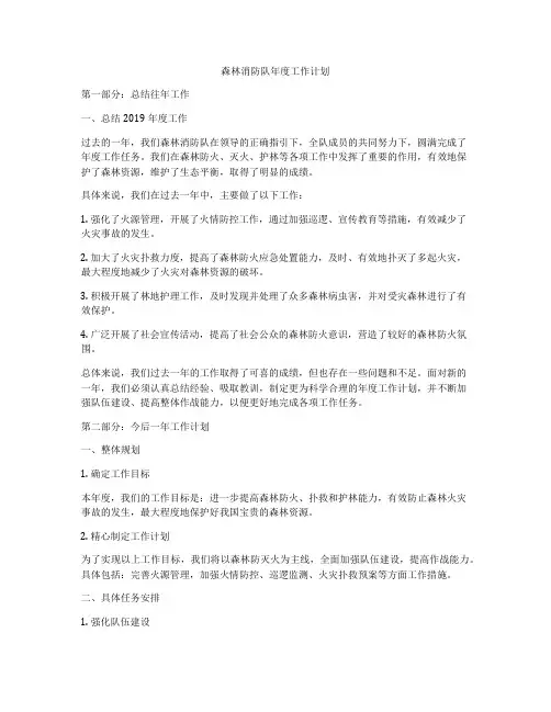森林消防队年度工作计划