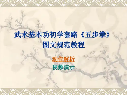 武术基本功初学套路五步拳图文规范教程