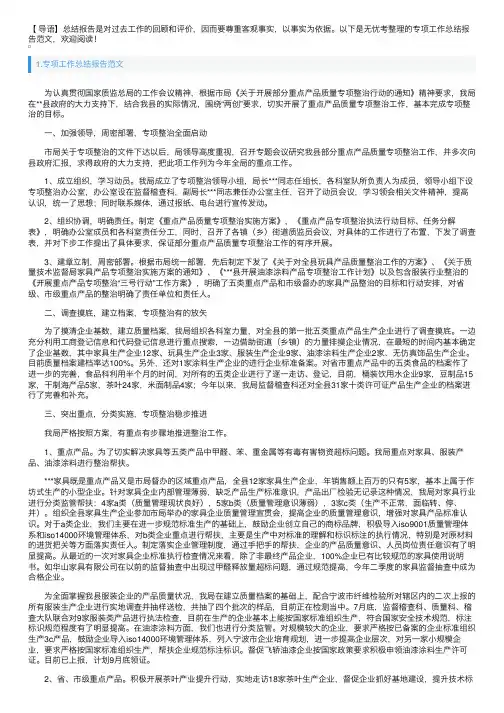 专项工作总结报告范文