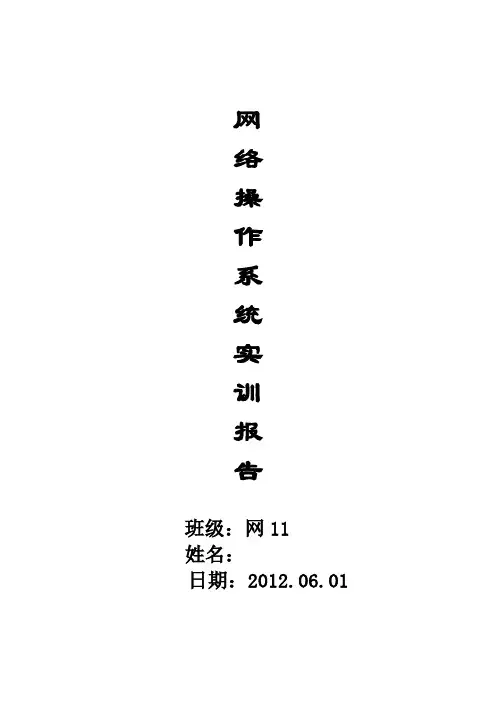 网络操作系统实训报告