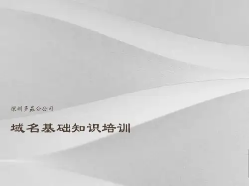 互联网域名基础知识教案