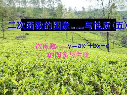 中考数学复习 二次函数 二次函数的图象与性质(第5课时)课件初中九年级全册数学课件