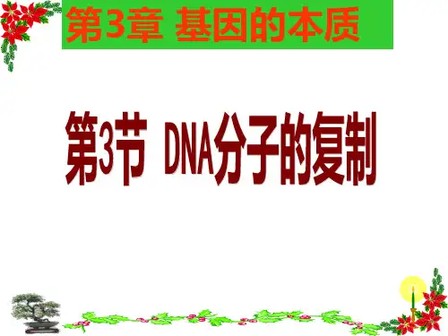 第3章第3节DNA分子的复制ppt课件