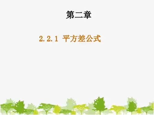 湘教版七年级下册2.平方差公式课件