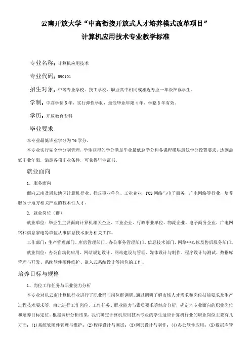 计算机应用技术专业教学标准
