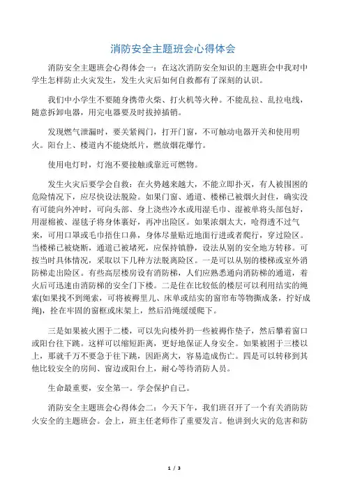 消防安全主题班会心得体会