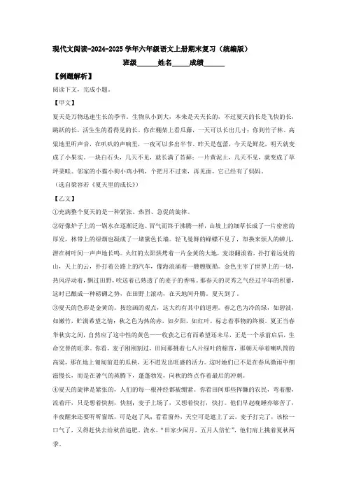 期末复习现代文阅读-2024-2025学年六年级语文上册(统编版)