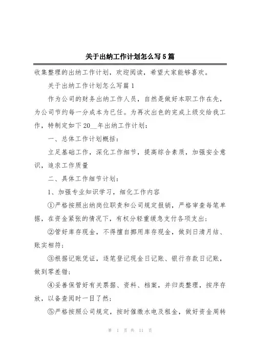 关于出纳工作计划怎么写5篇