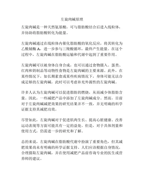 左旋肉碱原理