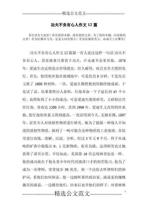 功夫不负有心人作文12篇