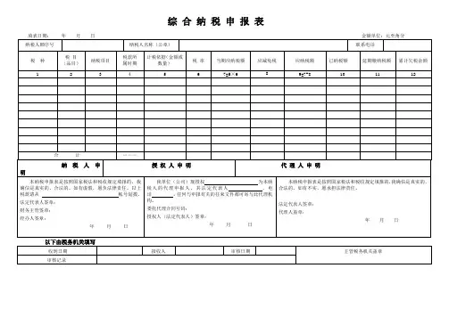 综合纳税申报表(电子版)