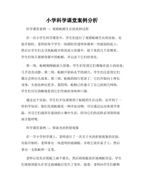 小学科学课堂案例分析