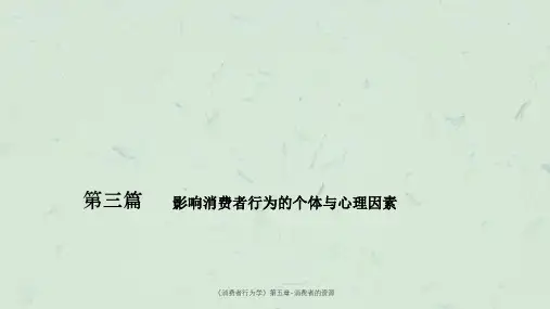 《消费者行为学》第五章-消费者的资源课件