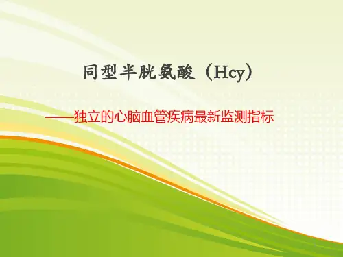 同型半胱氨酸ppt课件