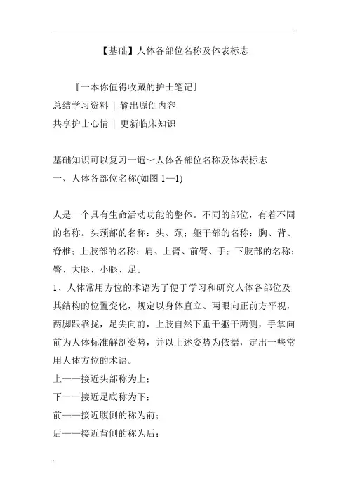 【基础】人体各部位名称及体表标志