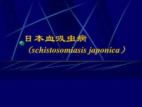 传染病学：6日本血吸虫