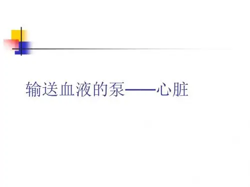 人教版生物七年下册 4-3-1输送血液的泵——心脏(共101张PPT)