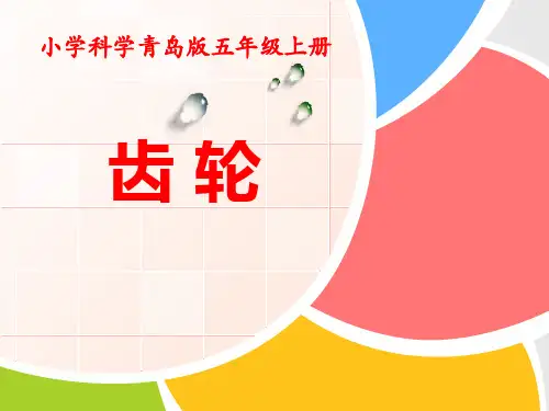 《齿轮》PPT课件