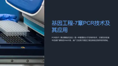 基因工程-7章PCR技术及其应用