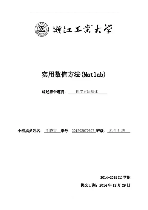 插值方法综述报告