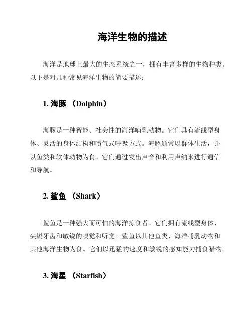 海洋生物的描述