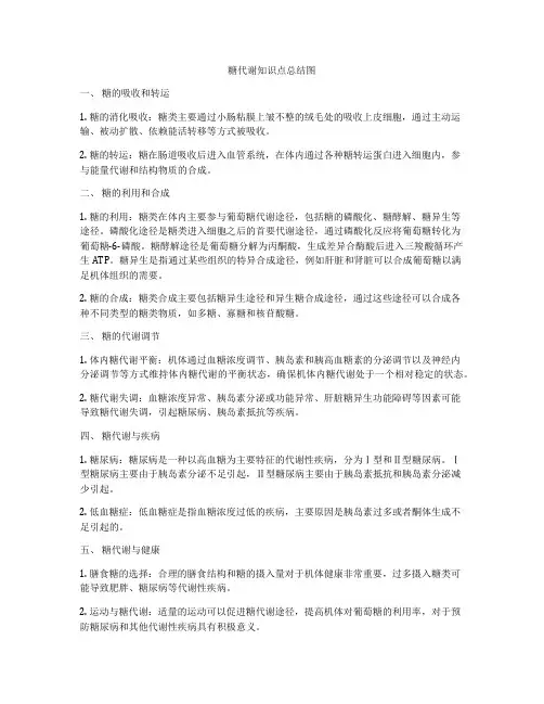 糖代谢知识点总结图